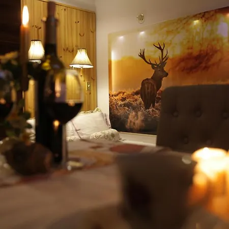 Apartamenty Pod Wiciokrzewem Supraśl Exteriér fotografie