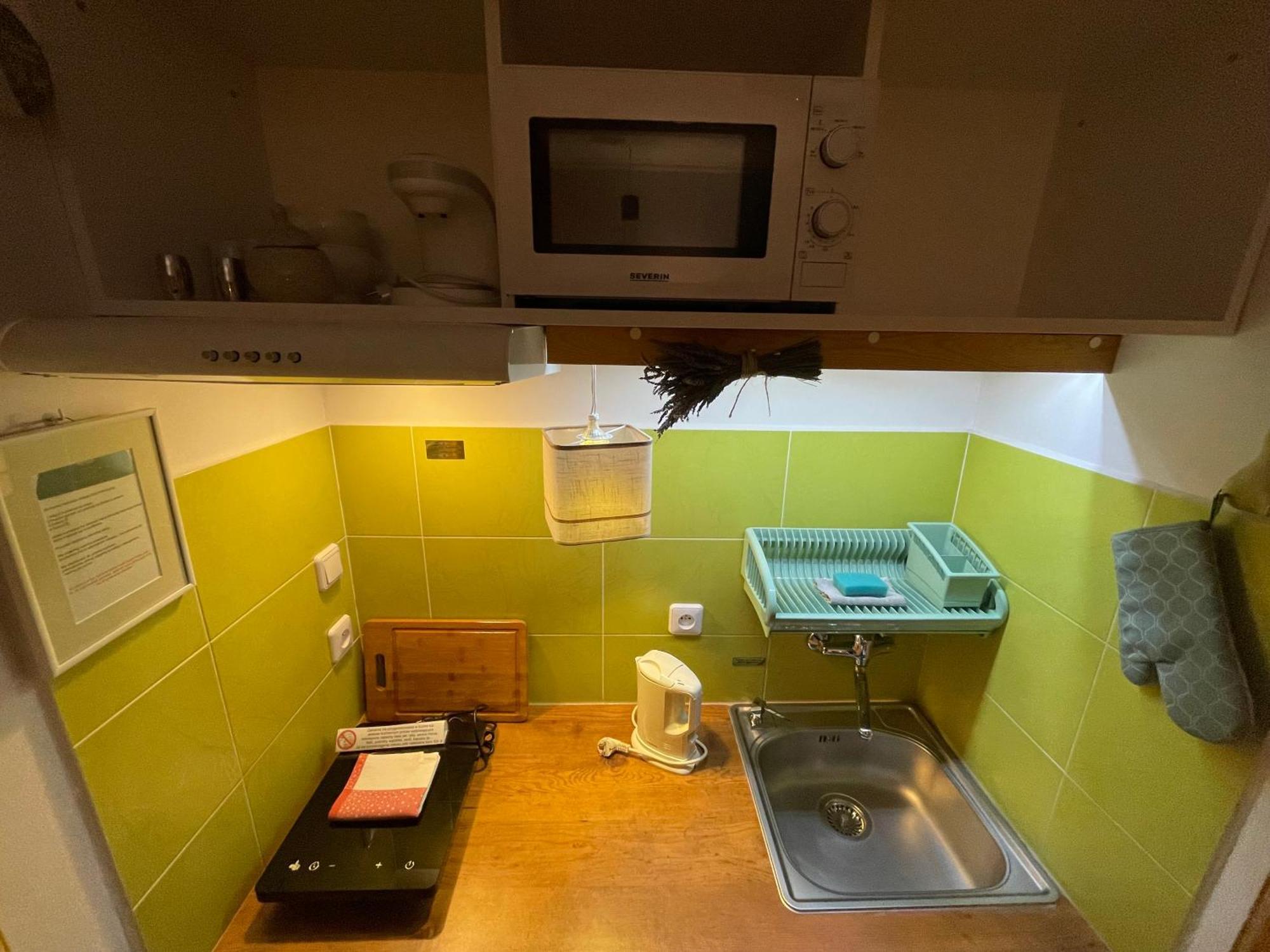 Pod Wiciokrzewem Apartment